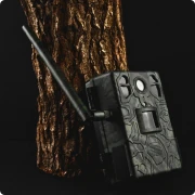 4ec36bb2b3ebb83bb9493f72d2607dfc